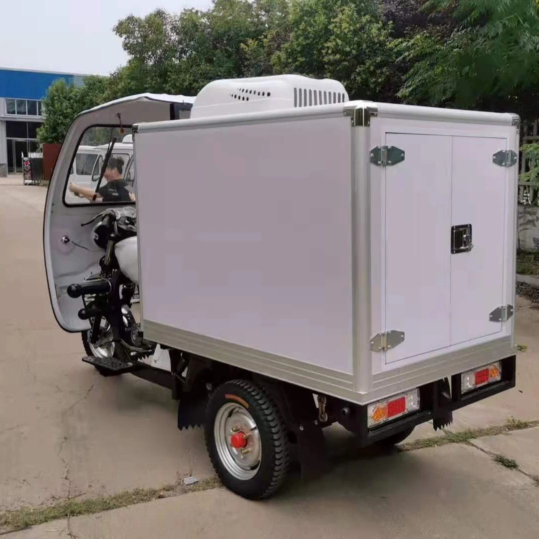 3 Wheeled Refrigerated Tricycle with DC Power Refrigerator Box
