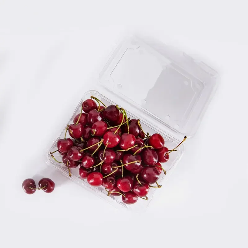 Customized Trays Transparent Disposable Storage Disposable Plastic Clamshell fruit packaging box