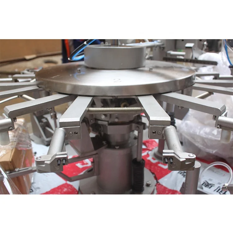 LTC8-300 Auto Cat Litter Doypack Zipper Big Pouch Weighing Filling Sealing pouch Packing Machine for 3KG line price