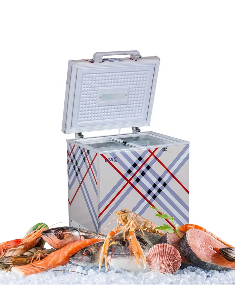 Lithium Battery 100L Meat Seafood Fruits Vegetables Storage Outdoor DC Freezer Chest for Patio