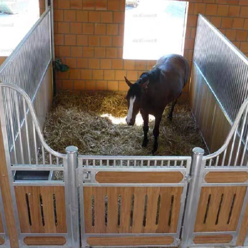 HDG Surface Equine Products horse box door equine stalls Horse Box Horse Stable with Hinged Door