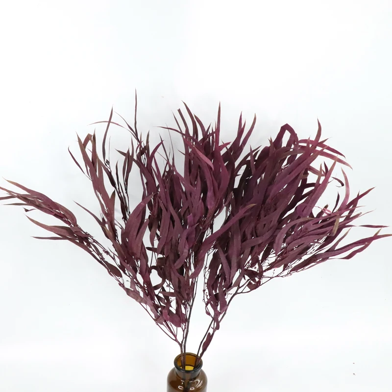 Gade A Preserved flower everlasting  stain  Millet Fruit Leaves  for home decoration