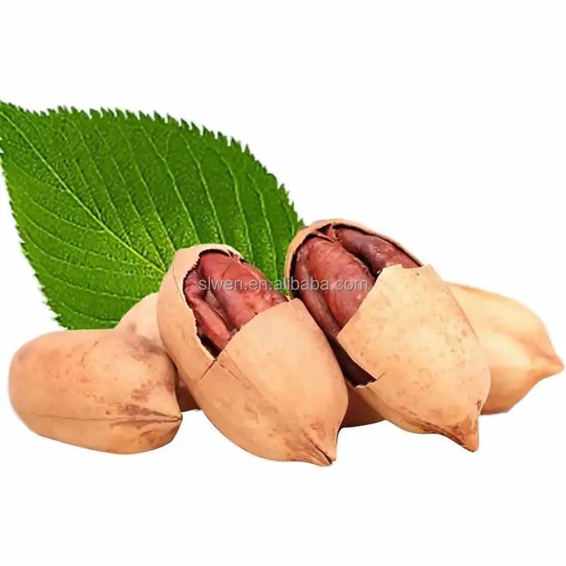 First Quality Roasted Pecans Nut Various Size Consumption Delicious Pecan Nuts