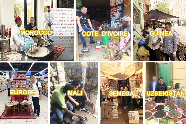 China green tea gold supplier factory chunmee tea 41022