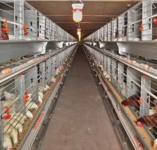 multivitamin plus Lysine DL-methionine plus mineral TE Promote growth,gain weight Promote egg