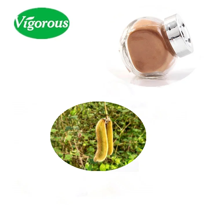 Chinese Supplier Hot Selling High Purity Harmless Organic Mucuna Pruriens Extract
