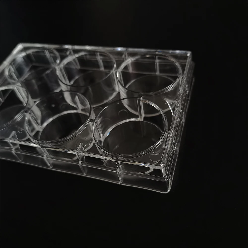 Labware 6 wells Petri Dish TC Treated Cell Culture Plate