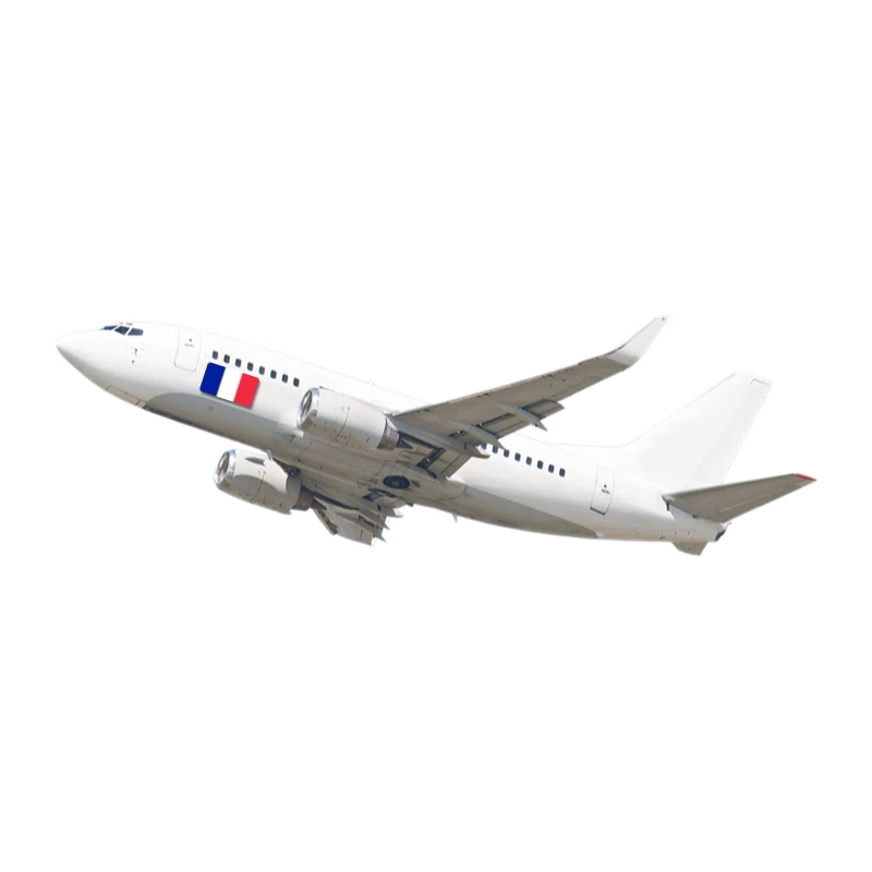 Cheapest Logistics Agent Air Sea Freight Shipping Company to France Best Freight Forwarder Agents