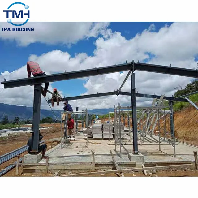 China Factory Poultry Farm Chicken House Broiler House Poultry Farm Steel Structure Farm Shed