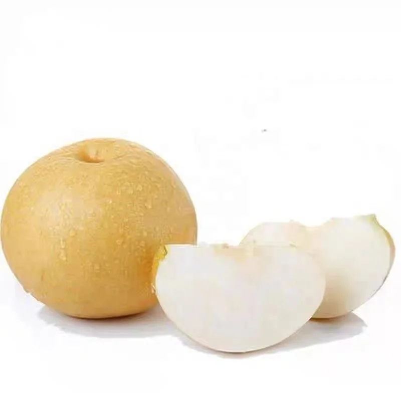 Asian Chinese super singo pear nice delicious pear for sale