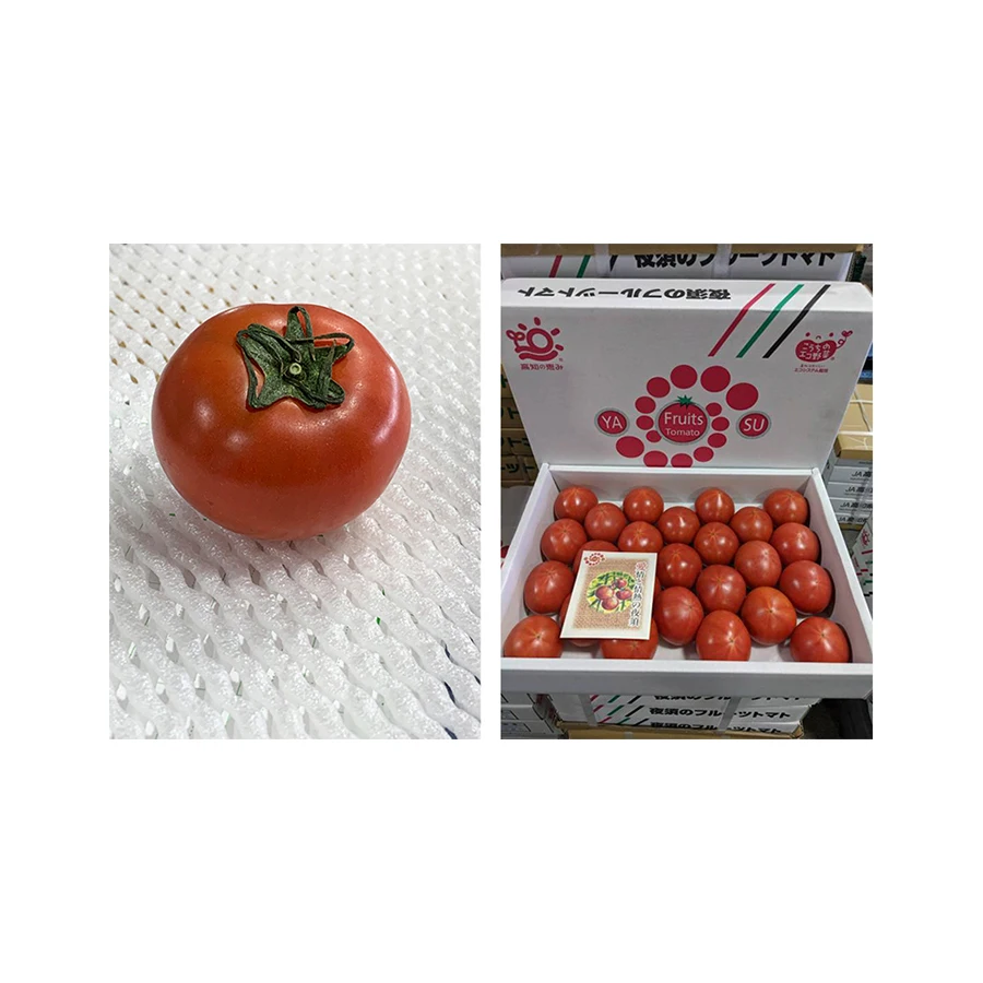 Japanese high quality fresh good taste tomato flavor for wholesale