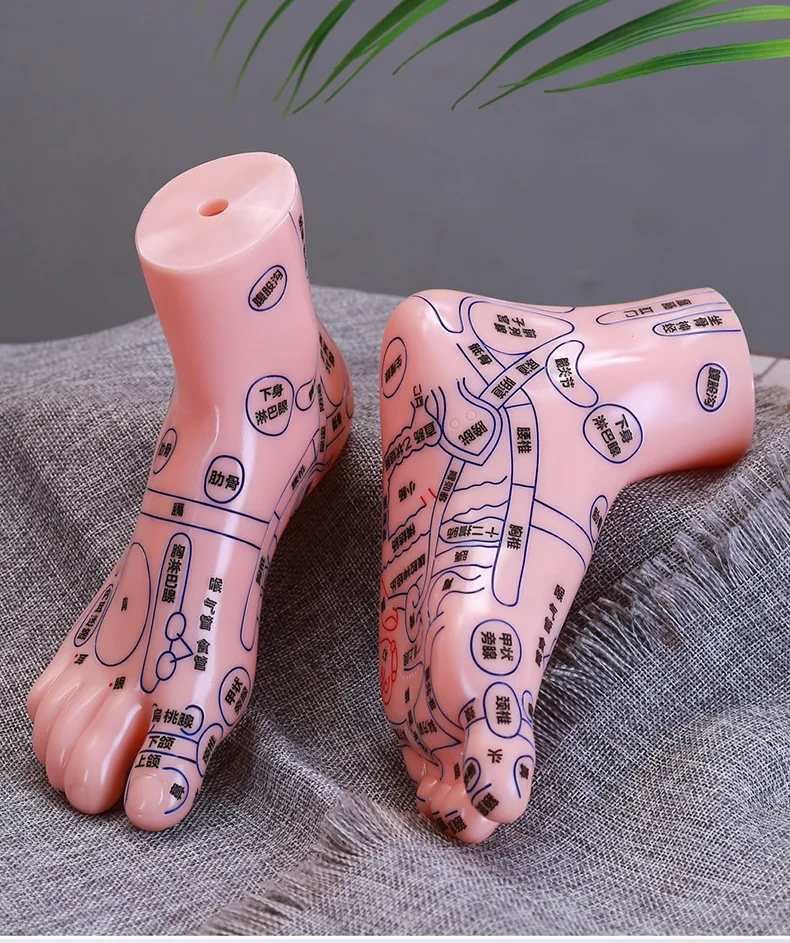 Medical students teach traditional Chinese acupuncture and massage model AIDS for feet