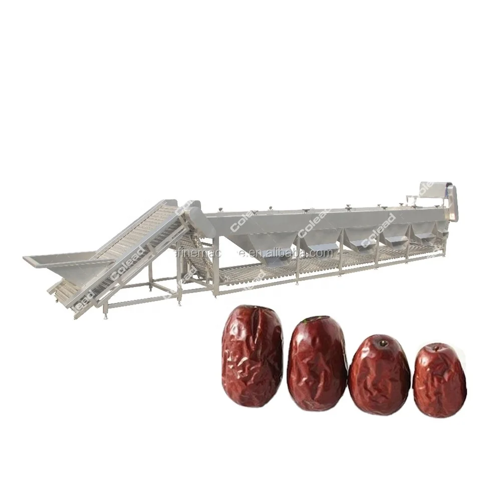 Cherry tomato sorting machine date sorting machine