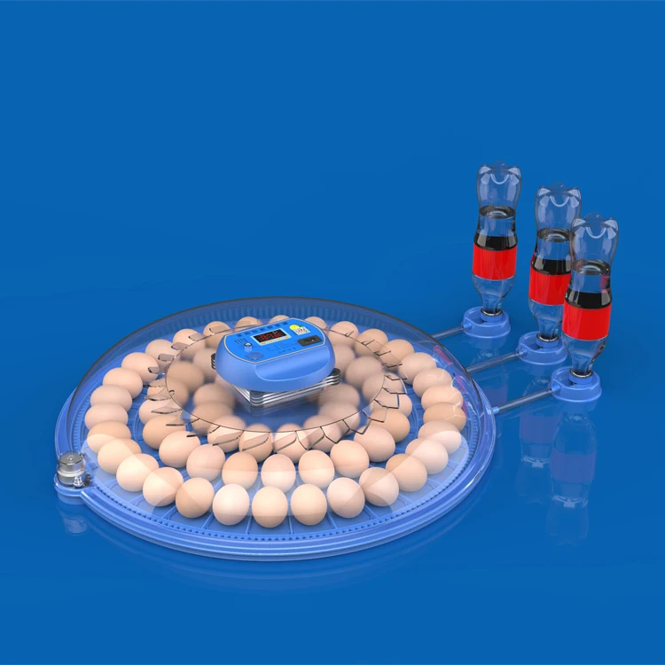 Dual power 60 chicken eggs incubators automatic hatching machine