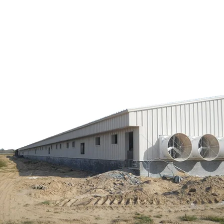 Современная птицефабрика 15000 бройлеров для птиц стальная конструкция птицы сборный стальной птицефабрик