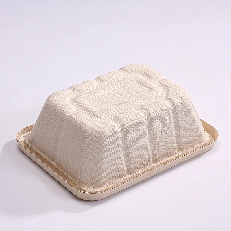 Eco friendly disposable bagasse dinnerware sets biodegradable packaging for food