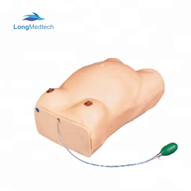 Имитатор экспертизы материнства LHL4