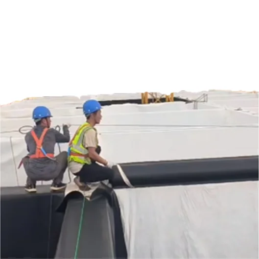 Environmentally friendly Polyethylene membrane isolation layer Geo membrane Isolation and protection liner Geomembrane