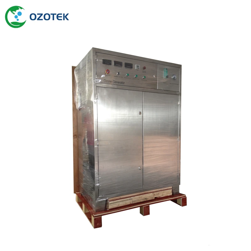 OZOTEK Industrial Ozone Water 100g C-100 Inbuilt PSA Oxygen For Water Treatment