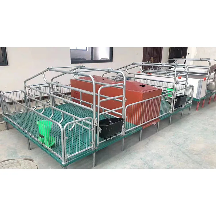Animal cage European type  pig farming equipment double pig farrowing crate pig cages
