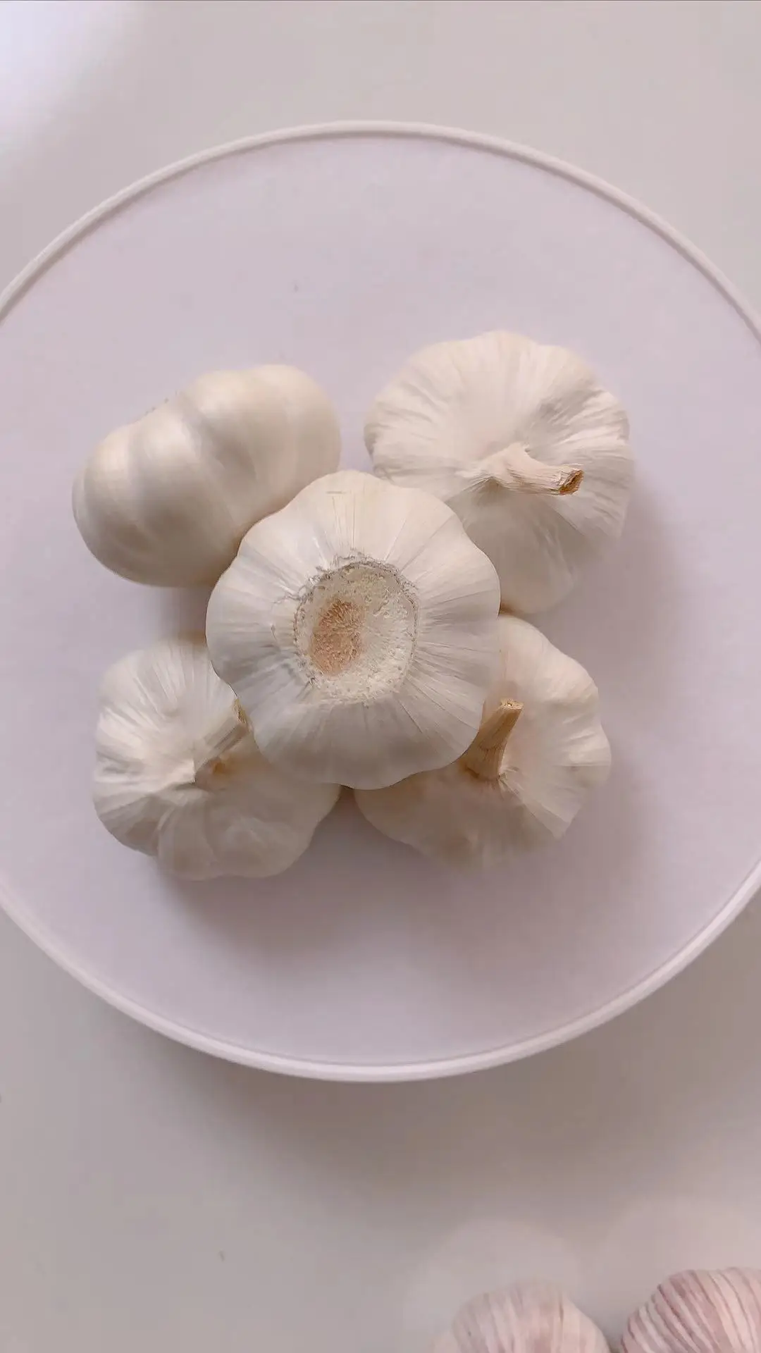 Китайский поставщик/поставка от производителя Семена Чеснока лука овощей скидка 5%