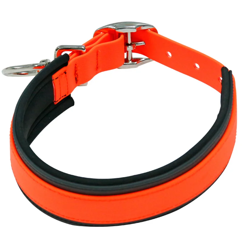 Neoprene Padded PVC Dog Collar with Durable Nylon Custom Personalized Design XL Solid Nylon Strap 3 Meters Dog Training Rivet