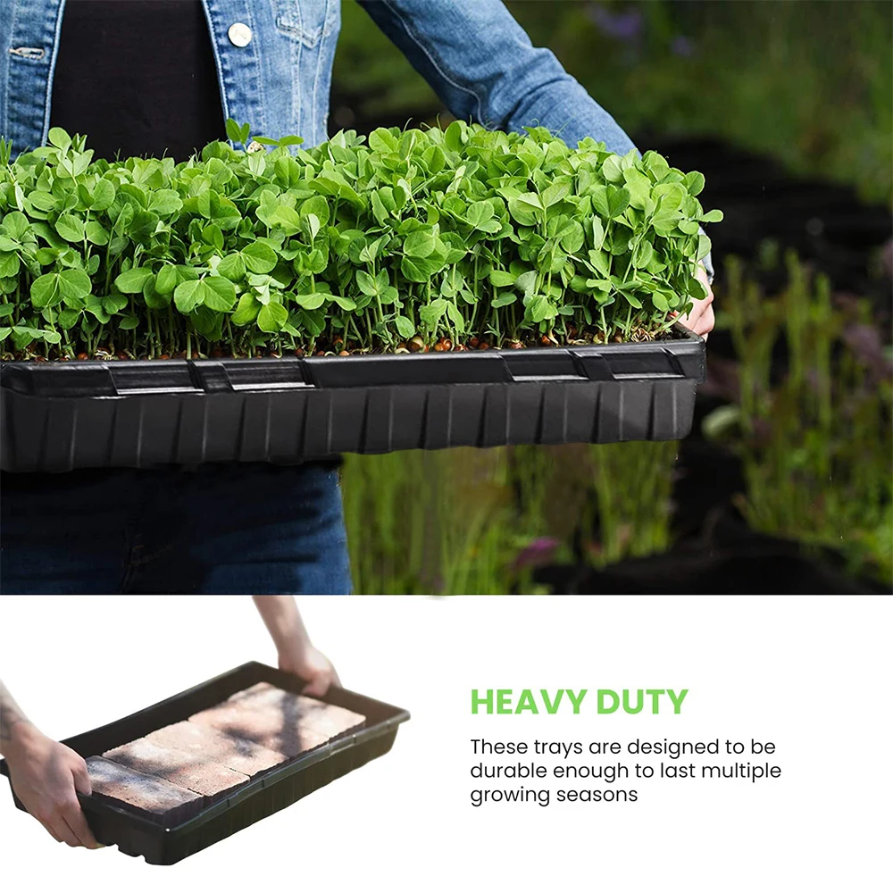 3mm paddy nursery tray paddy agricultural tray Hard plastic rice seedling tray for rice with timely delivery