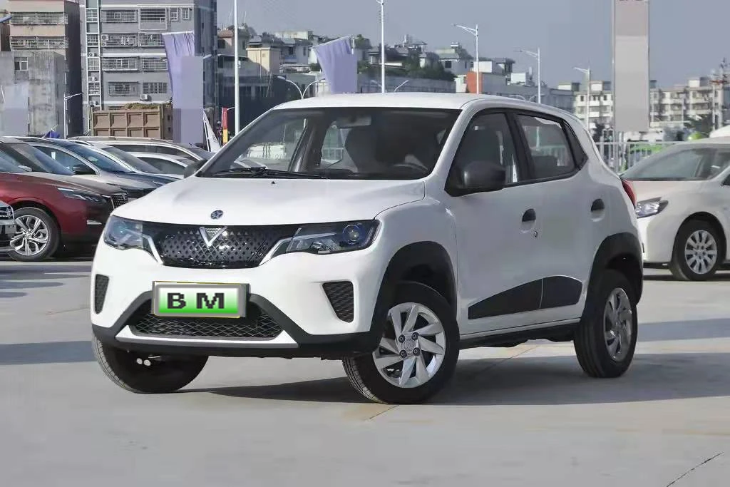 high speed long driving range smart car 4 Wheels 4 seats 5 doors electric SUV hot sell new energy for adult Venucia E30