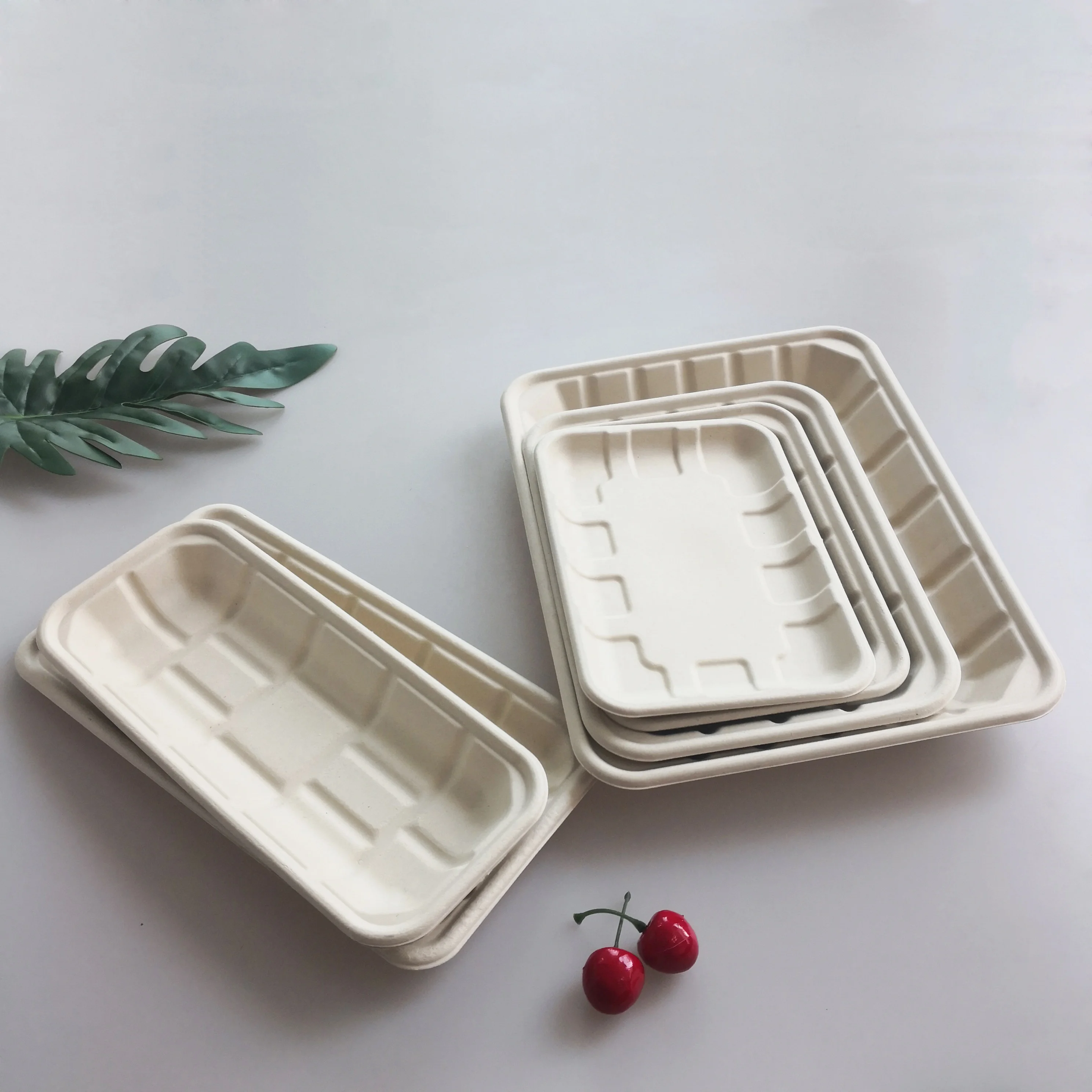 10Inch Hollowware Tableware Disposable Bbq Fast Food Rectangular Shaped Trays Serving Supermarket Meat Tray