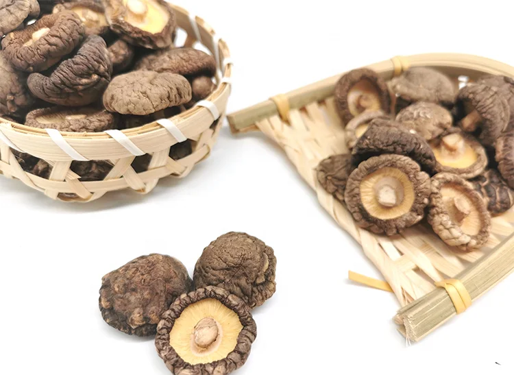 Factory Export Wholesale Natural high quality and nutritious Organic Best Price 3-4cm  Dried shiitake mushrooms
