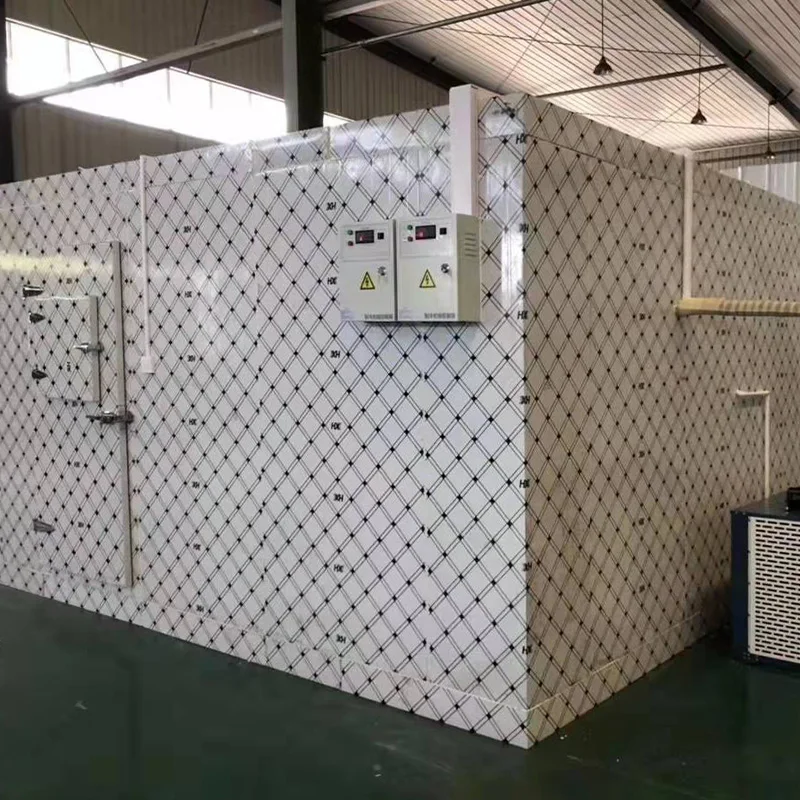 Холодная комната прогулка в кулер холодильная камера супермаркет ресторан замороженные морепродукты для рыбы