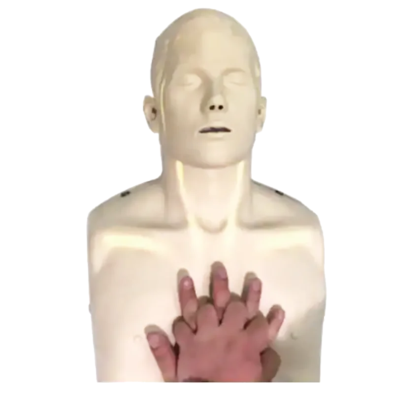 Adult CPR training manikin