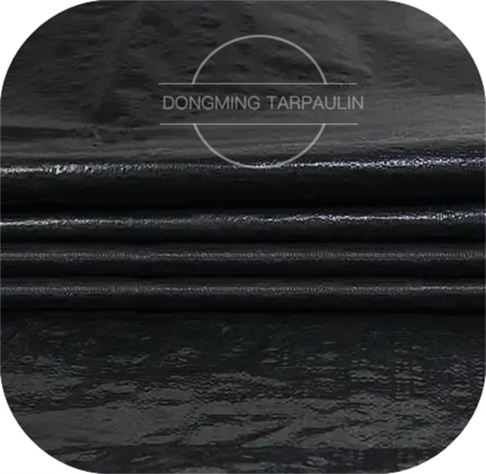 DM black tarp (7).jpg