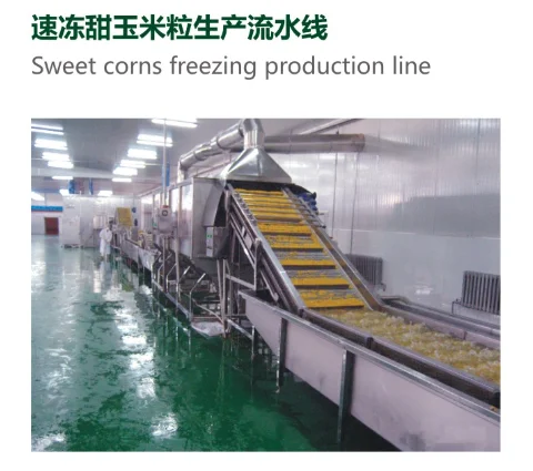 corns freezing line