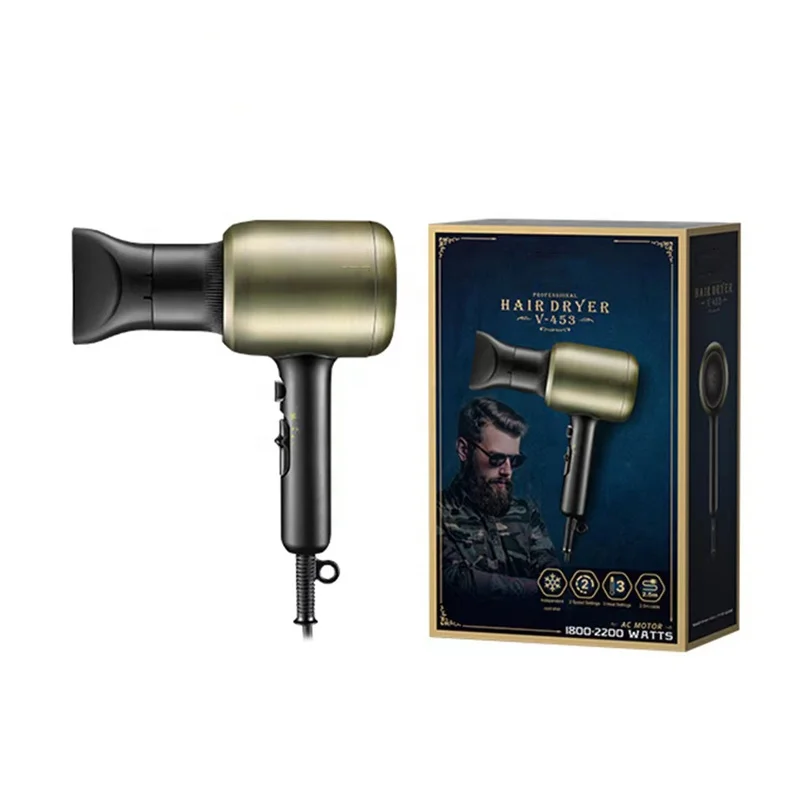 2023 New Design high quality 1800-2200w Powerful Electric High Speed Salon Professional Hair Dryer