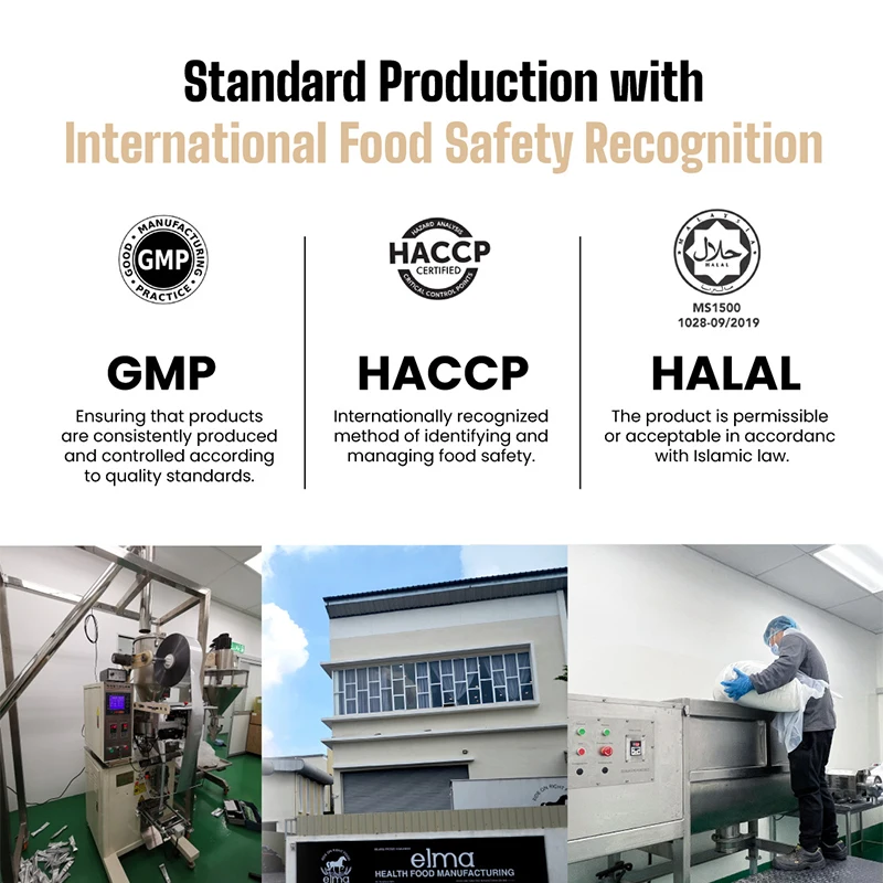 Factory Supply 3 in 1 Instant Cocoa Malted Powder Nutritious Breakfast Cocoa Drinks OEM ODM 25KG Per Bag Chocolate Beverages