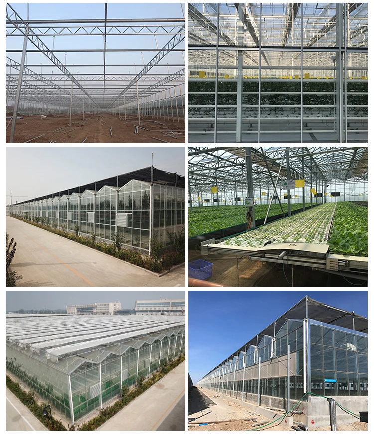 Greenhouse engineering