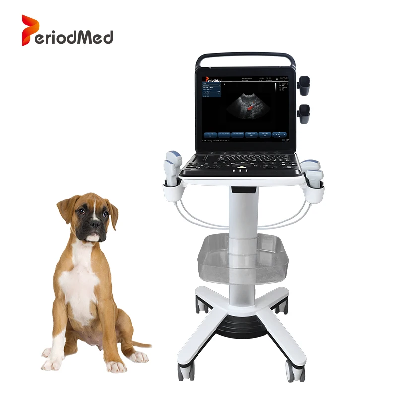 Периодированная ветеринарная портативная гидролокатор компактная Ректальная тележка с зондом для ветеринара