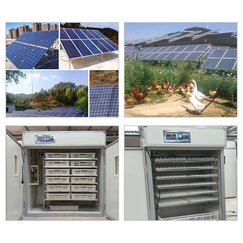 2000 Incubators 1056 Fully Automatic Solar Egg Incubator Hatching Midium Machine
