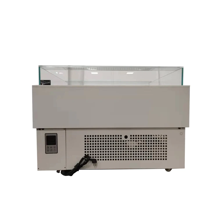 Professional Refrigerated Commercial Double-sided Open Sandwich Display Freezer
