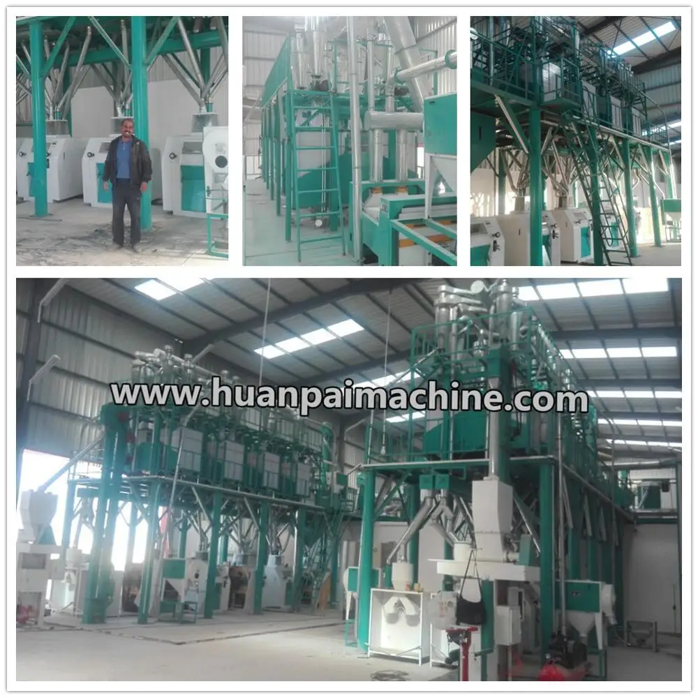 50t /24h industrial grain mill/roller mill/wheat flour mill plant