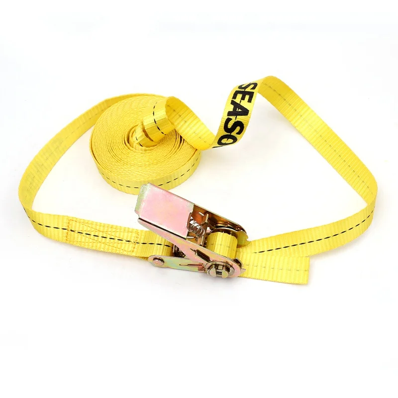 25mm 38mm 50mm rachet tie down for cargo lashing belt endless straps and with hook