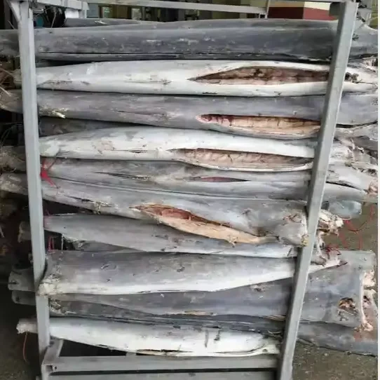Frozen Sailfish 7 kg up 10 for Sale