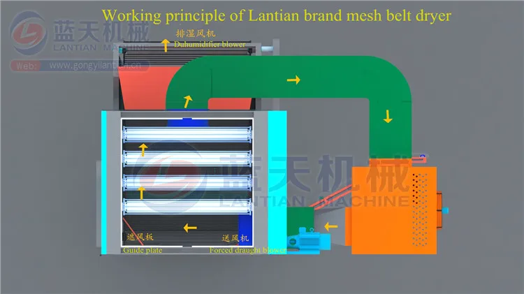 
USA customers interested mesh belt type continuous hemp drying equipment 