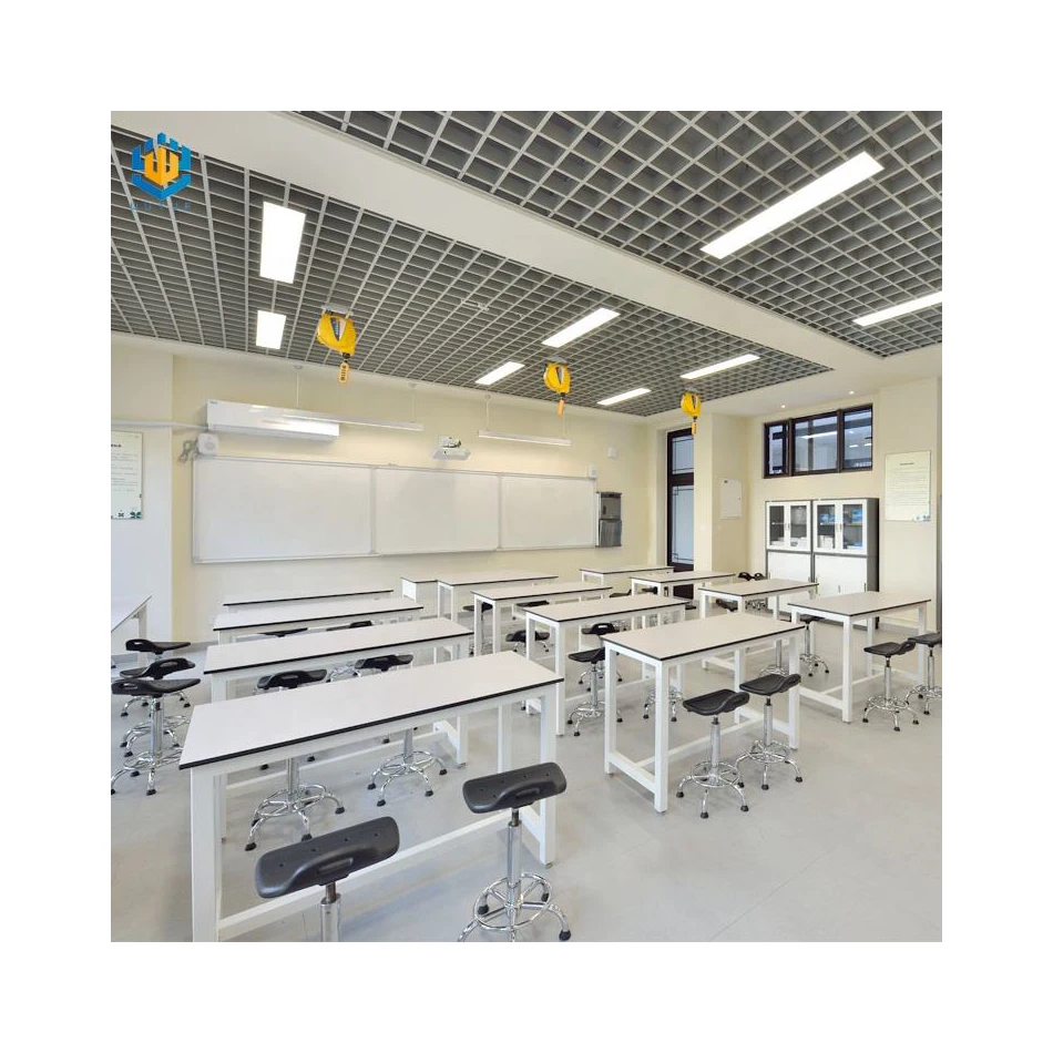 Customized traditional middle school microbiology laboratory work bench school lab furniture
