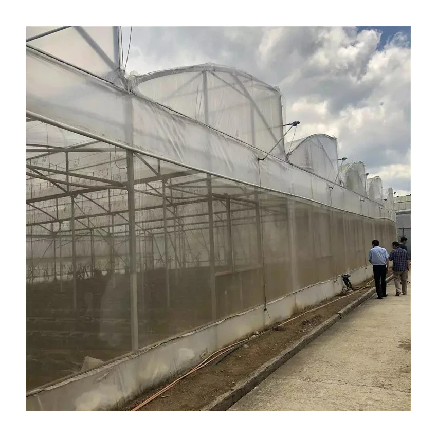 greenhouse agricultural hydroponic greenhouse systems greenhouse manufacturing