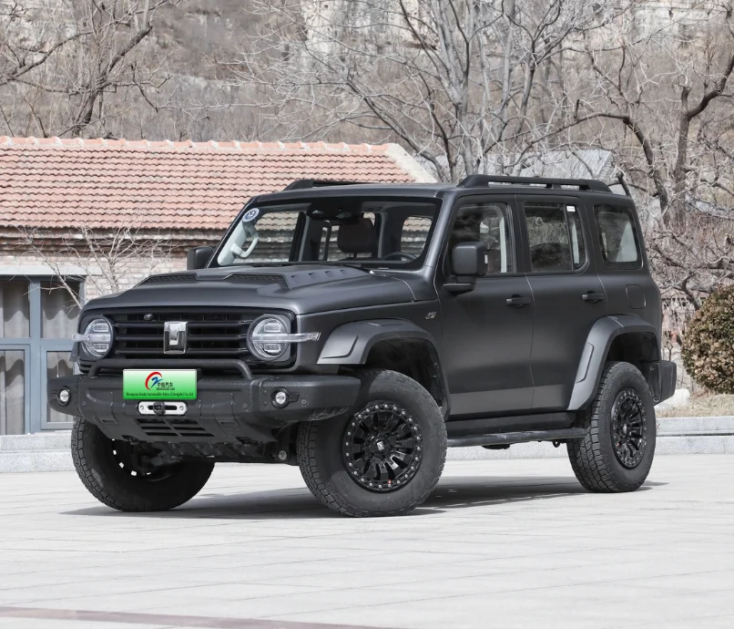 2024 new car great wall 4WD buggi tank 300 buggy car 4x4
