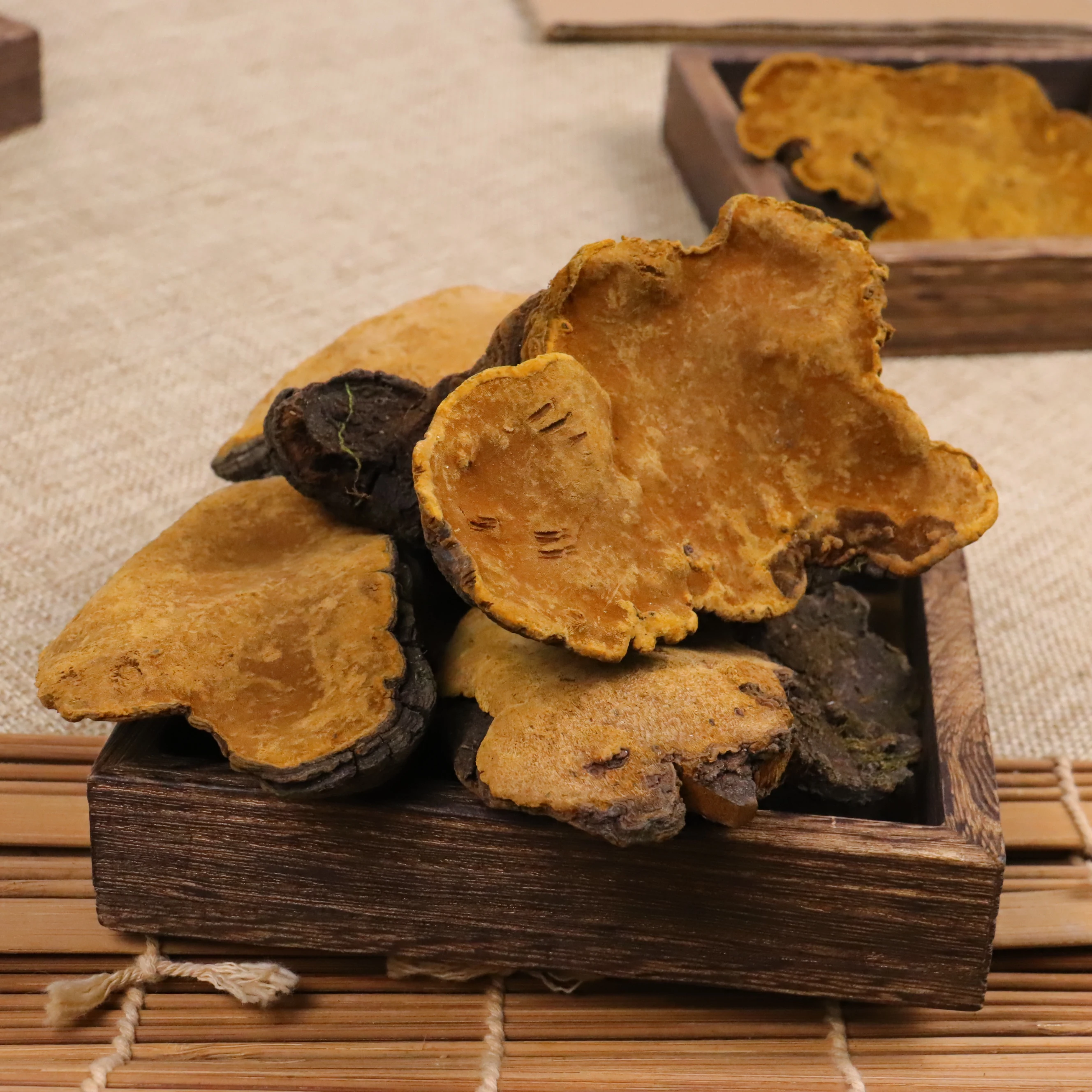 High Quality Amino Acid Vitamin Anti-Fatigue Wild Dried Ganoderma Lucidum Reishi