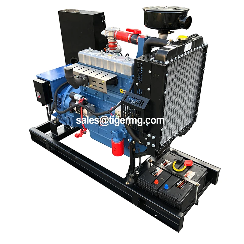 CE approved best selling biogas generator chp 20kw