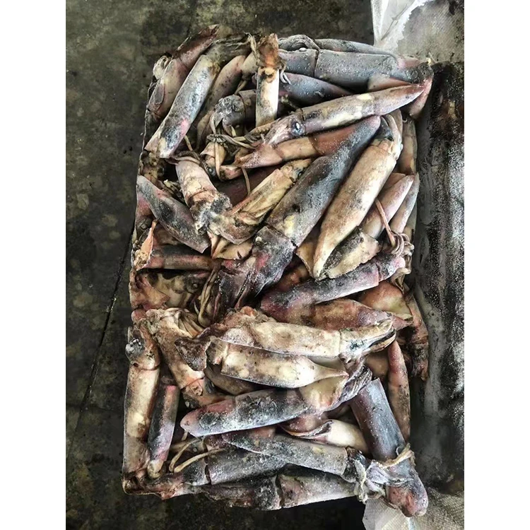 Новое поступление высокое качество морепродукты цена на свежий кальмар замороженный черный для